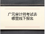 广元审计师考试去哪里线下报名