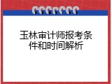 玉林审计师报考条件和时间解析