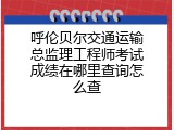 呼伦贝尔交通运输总监理工程师考试成绩在哪里查询怎么查
