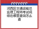 河西区交通运输总监理工程师考试成绩在哪里查询怎么查