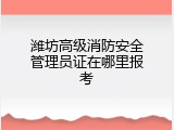 潍坊高级消防安全管理员证在哪里报考
