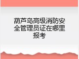 葫芦岛高级消防安全管理员证在哪里报考