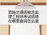 恩施交通运输总监理工程师考试成绩在哪里查询怎么查