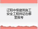辽阳中级建筑施工安全工程师证在哪里报考