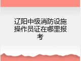 辽阳中级消防设施操作员证在哪里报考