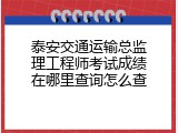 泰安交通运输总监理工程师考试成绩在哪里查询怎么查