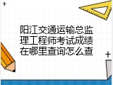 阳江交通运输总监理工程师考试成绩在哪里查询怎么查