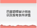 巴音郭楞审计师培训及报考条件详情