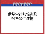 伊犁审计师培训及报考条件详情