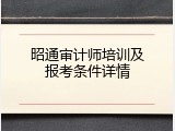 昭通审计师培训及报考条件详情