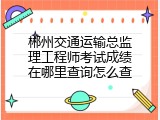 郴州交通运输总监理工程师考试成绩在哪里查询怎么查