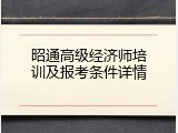 昭通高级经济师培训及报考条件详情