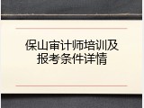保山审计师培训及报考条件详情