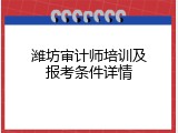 潍坊审计师培训及报考条件详情