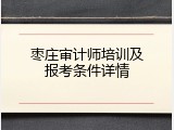 枣庄审计师培训及报考条件详情