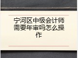 宁河区中级会计师需要年审吗怎么操作
