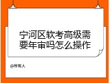 宁河区软考高级需要年审吗怎么操作