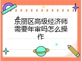 东丽区高级经济师需要年审吗怎么操作