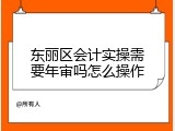 东丽区会计实操需要年审吗怎么操作
