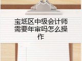 宝坻区中级会计师需要年审吗怎么操作