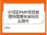 宁河区PMP项目管理师需要年审吗怎么操作