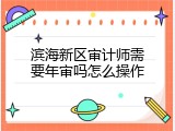 滨海新区审计师需要年审吗怎么操作