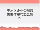 宁河区企业合规师需要年审吗怎么操作