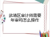 武清区审计师需要年审吗怎么操作