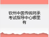 钦州中医传统师承考试指导中心哪里有