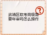 武清区软考高级需要年审吗怎么操作