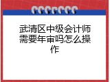武清区中级会计师需要年审吗怎么操作