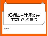 红桥区审计师需要年审吗怎么操作