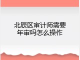 北辰区审计师需要年审吗怎么操作