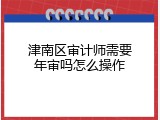 津南区审计师需要年审吗怎么操作