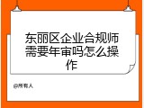 东丽区企业合规师需要年审吗怎么操作
