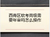西青区软考高级需要年审吗怎么操作