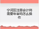 宁河区注册会计师需要年审吗怎么操作