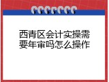 西青区会计实操需要年审吗怎么操作