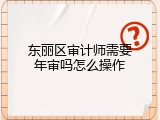 东丽区审计师需要年审吗怎么操作