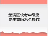 武清区软考中级需要年审吗怎么操作