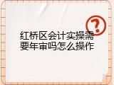 红桥区会计实操需要年审吗怎么操作