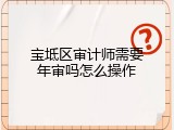 宝坻区审计师需要年审吗怎么操作