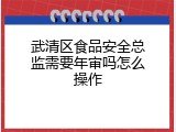 武清区食品安全总监需要年审吗怎么操作