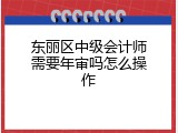 东丽区中级会计师需要年审吗怎么操作