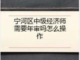 宁河区中级经济师需要年审吗怎么操作