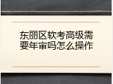 东丽区软考高级需要年审吗怎么操作