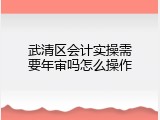 武清区会计实操需要年审吗怎么操作
