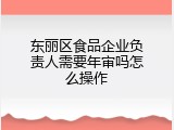 东丽区食品企业负责人需要年审吗怎么操作