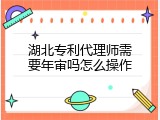 湖北专利代理师需要年审吗怎么操作