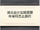 湖北会计实操需要年审吗怎么操作